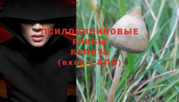jwh Алзамай