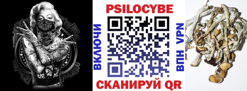 Псилоцибиновые грибы MAGIC MUSHROOMS  кракен ссылки  Муром  продажа наркотиков 